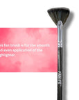 CS Essentials - Fan Brush - F6