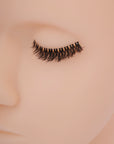 Faux Mink Eyelashes (10 Pairs) - D30