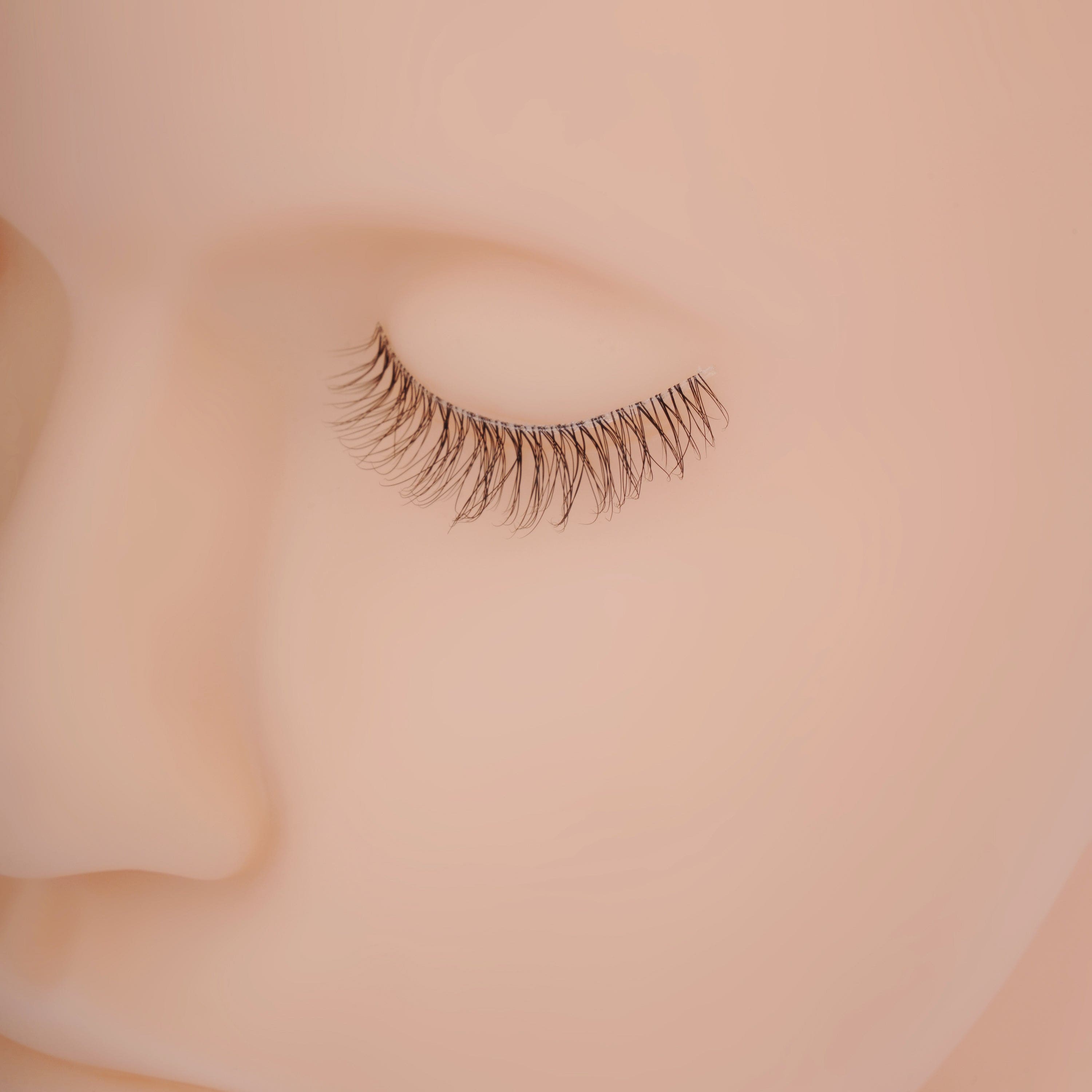 Faux Mink Eyelashes (10 Pairs) - D38