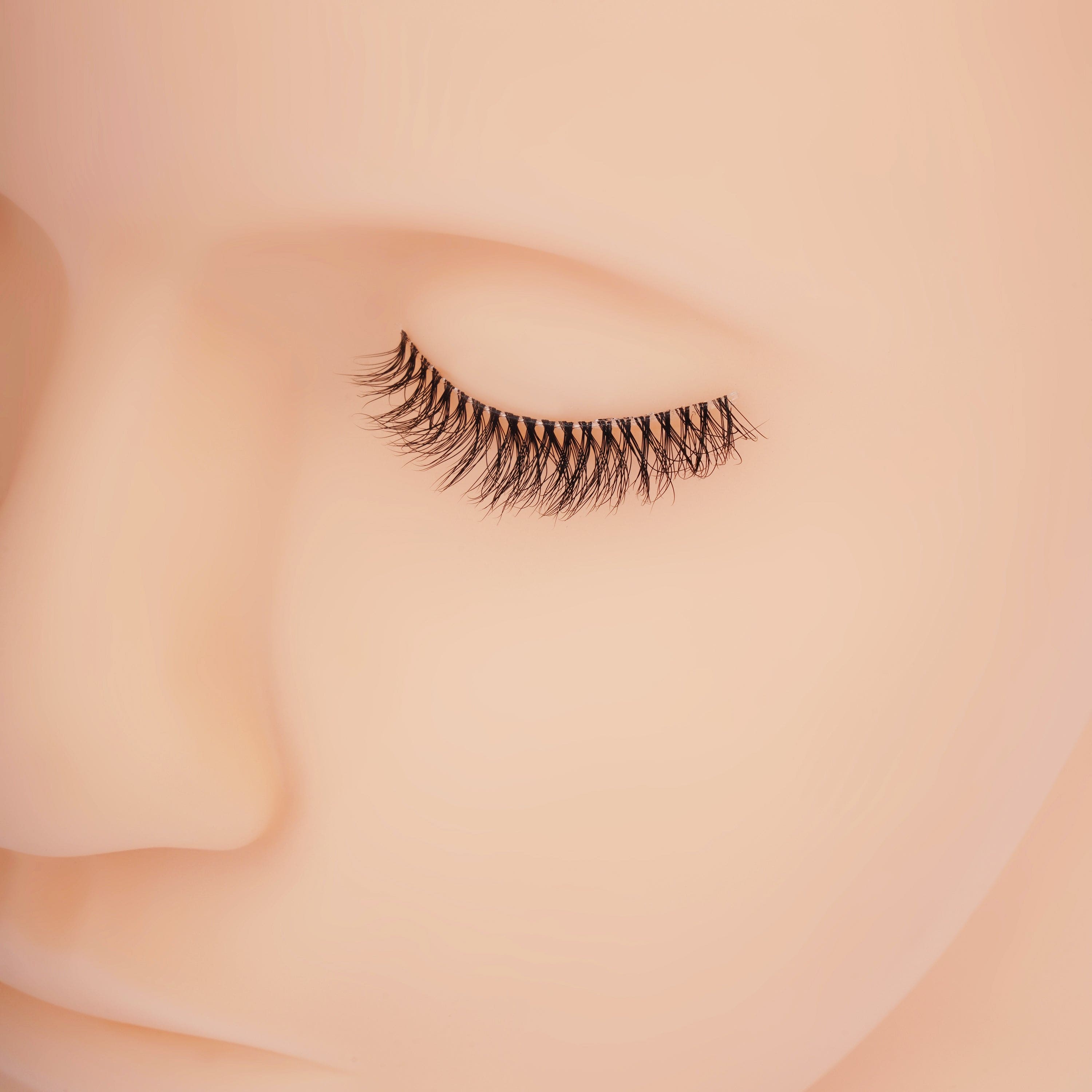 Faux Mink Eyelashes (10 Pairs) - D48