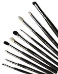 CS Essentials Flamboyant Eye Brush Set - Set of 10 Brushes